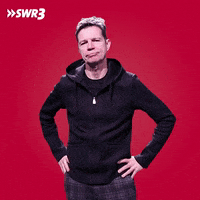 No Idea Idk GIF by SWR3