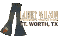 Wild Horses Texas Sticker by Lainey Wilson