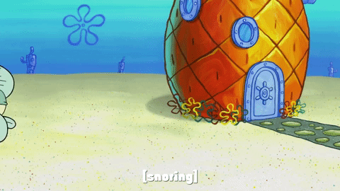 season 9 lost in bikini bottom GIF by SpongeBob SquarePants