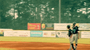 baseball usa GIF
