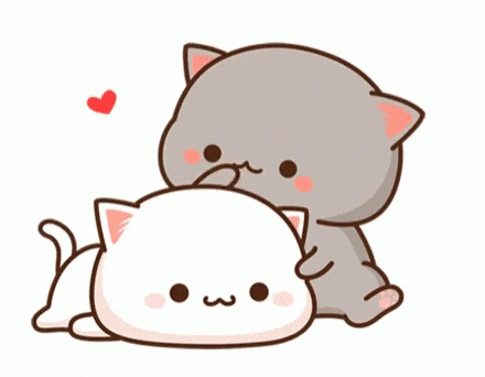 Cute Cat