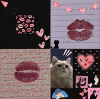 Cat Love GIF