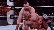 Seth Rollins Reaction GIF by WWE