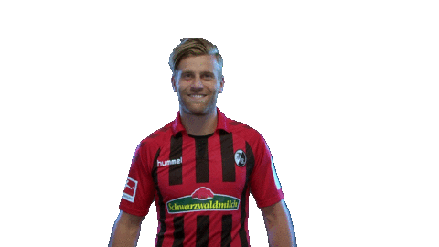 sc freiburg celebration Sticker by SCF
