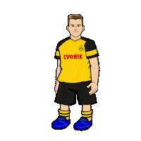 kicking borussia dortmund Sticker by Bundesliga