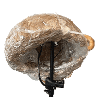 The Mill Breakfast Sticker by Alex Boya