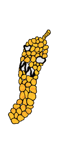 Loop Sticker Sticker