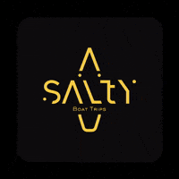 SaltyBoatTrips boat tour boat rental boat trips salty boat trips GIF