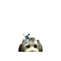 Dog Sticker by StrongBoard Balance