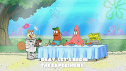 season 9 GIF by SpongeBob SquarePants