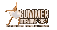 Nbt Sticker by Nevada Ballet Theatre