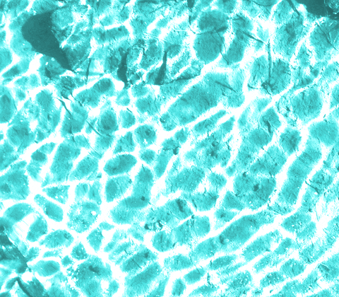 galantijc giphyupload GIF