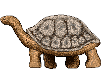 PositPixel pixel art turtle sprite sprites Sticker