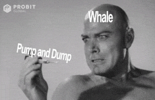 Invest All Time High GIF by ProBit Global