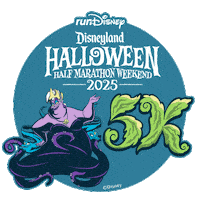 Disneyland Rundisney Sticker by Disney Sports