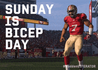 San Francisco 49Ers GIF by Madden Giferator