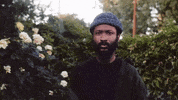 Life GIF by Lute