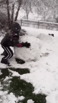 Winter Fail GIF by America's Funniest Home Videos