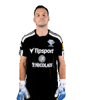 Football Soccer Sticker by Fortuna Liga