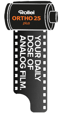Film Photography Sticker by macodirect