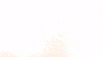 Stefan Lainer Celebration GIF by FC Red Bull Salzburg