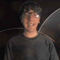 Andra Anser GIF