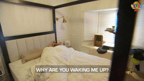 Channel 9 Reno GIF by The Block