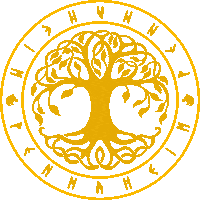 Cechinel Sticker by True Content