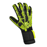 X-Ray Sticker by Reusch