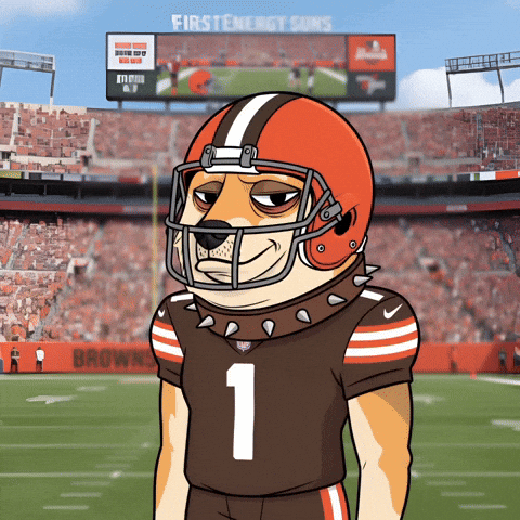 American Football GIF by Doge Pound