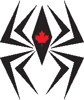 spider motorsports Sticker