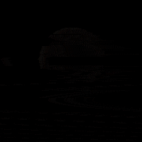 Trick Or Treat Halloween GIF