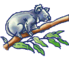 koala Sticker