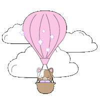 Read Hot Air Balloon Sticker