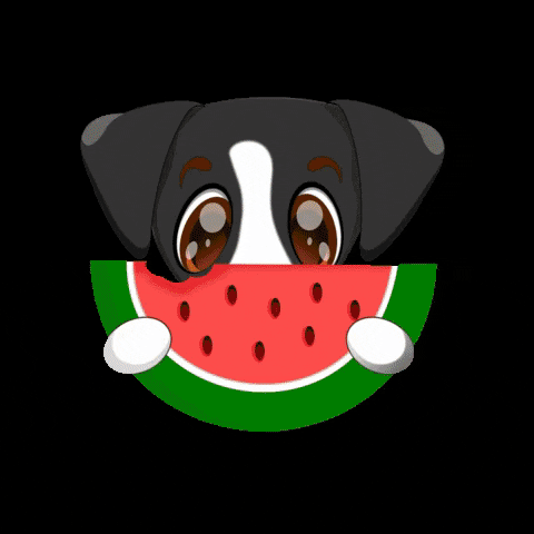 ZumatheDog giphygifmaker summer beach surfing GIF