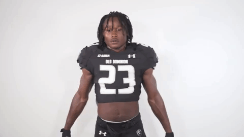 monarchreign GIF by sgrubbs