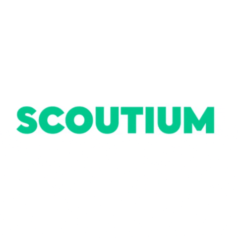 Scoutium giphygifmaker scout scoutium GIF