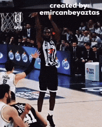 Vitto GIF