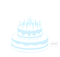 vision2020australia party celebration birthday cake Sticker