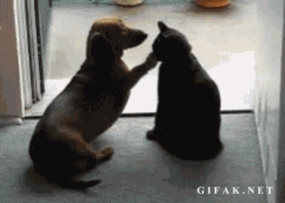 michael popcorn GIF