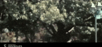 Great Gatsby GIF by Alissandra