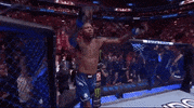 Mixed Martial Arts Sport GIF by UFC