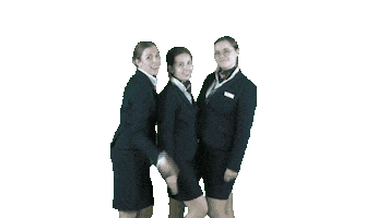 Happy Stewardess Sticker by MBOCollegeAirport