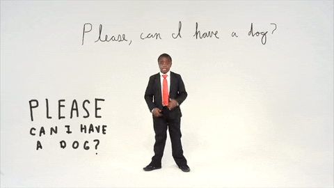 youtube please GIF by SoulPancake