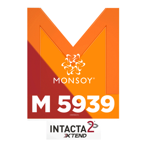 Monsoy Sticker by intactarr2pro