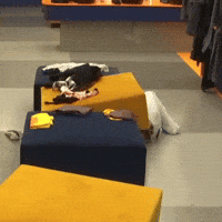 Operacion Triunfo Hide GIF