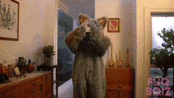 Cat Refreshing GIF