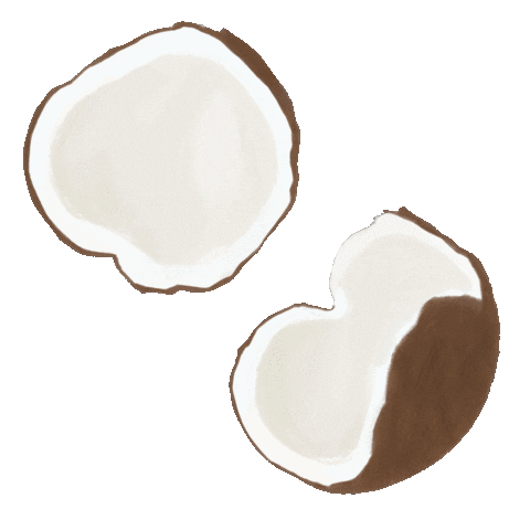 Tropical Fruit Coconut Sticker