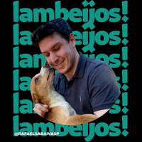 rafaelsaraivasp dog beijo beijar rafael saraiva GIF