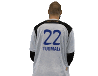 Floorball Salibandy Sticker by F-liiga